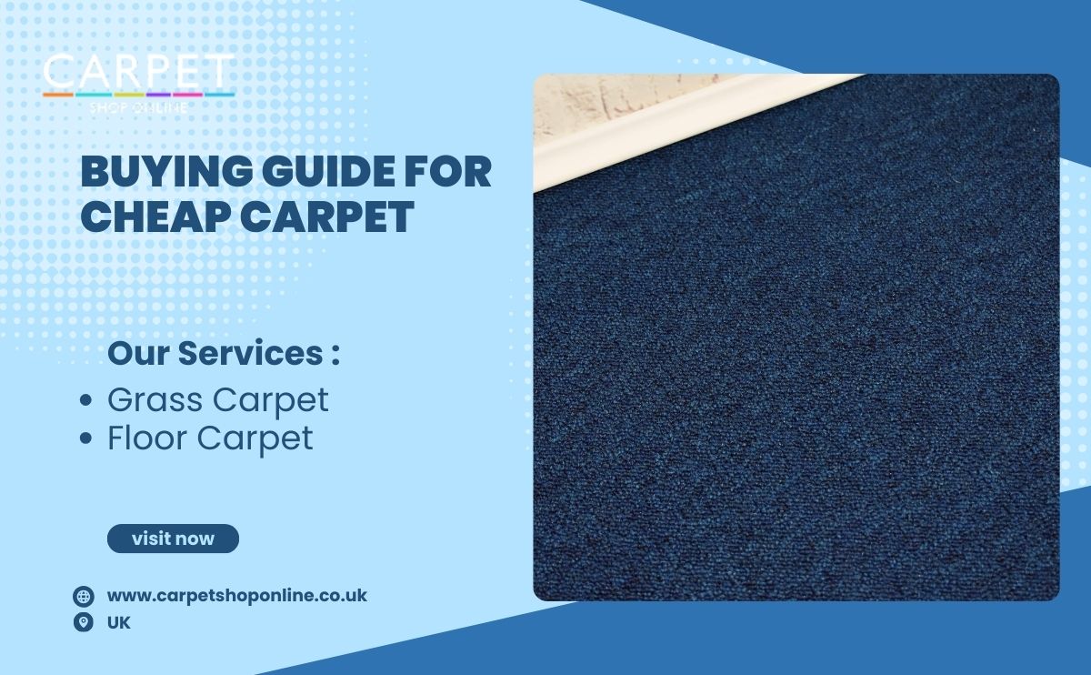 Buying guide for cheap carpet